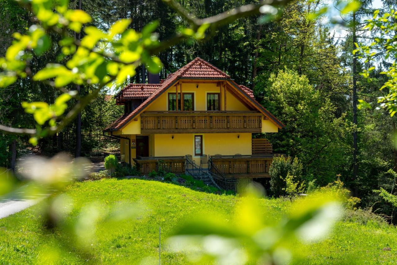 Country House Apat Šoštanj エクステリア 写真