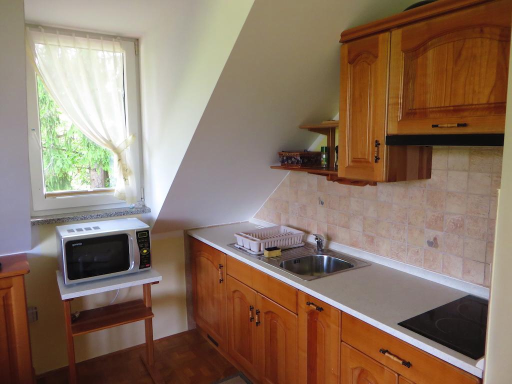 Country House Apat Šoštanj 部屋 写真