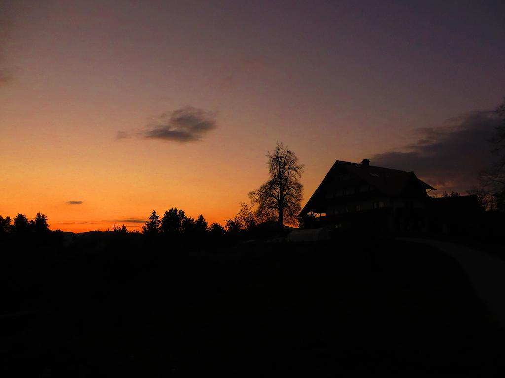 Country House Apat Šoštanj エクステリア 写真