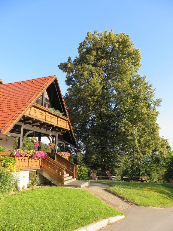 Country House Apat Šoštanj エクステリア 写真